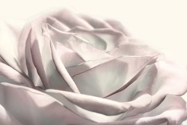 Lori Deiter: Blush Rose II by Lori Deiter