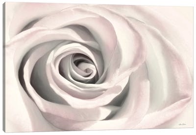 Blush Rose III Canvas Art Print - Lori Deiter