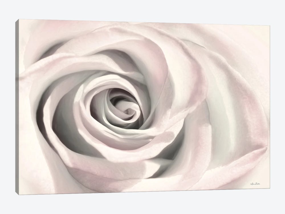 Blush Rose III by Lori Deiter 1-piece Art Print