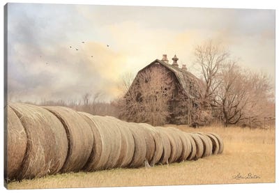 Good Day on the Farm Canvas Art Print - Country Scenic Photography