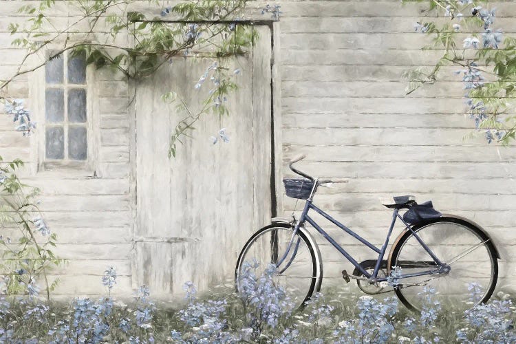 Blue Bike At Barn