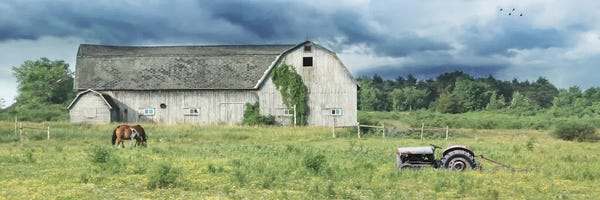 Lori Deiter: Green Pastures by Lori Deiter