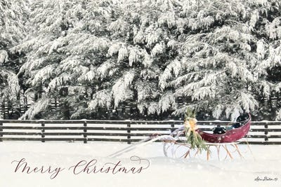 Merry Christmas Sleigh by Lori Deiter framed wall art