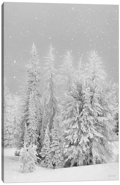 Snowy Lava Mountain Canvas Art Print - Lori Deiter