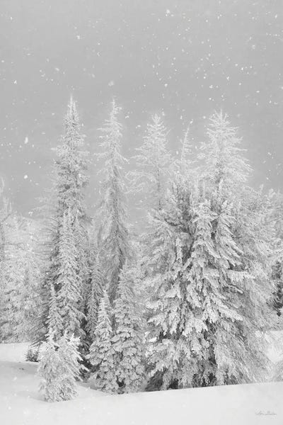 Lori Deiter: Snowy Lava Mountain by Lori Deiter