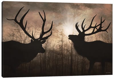 Elk Sunrise III Canvas Art Print - Lori Deiter