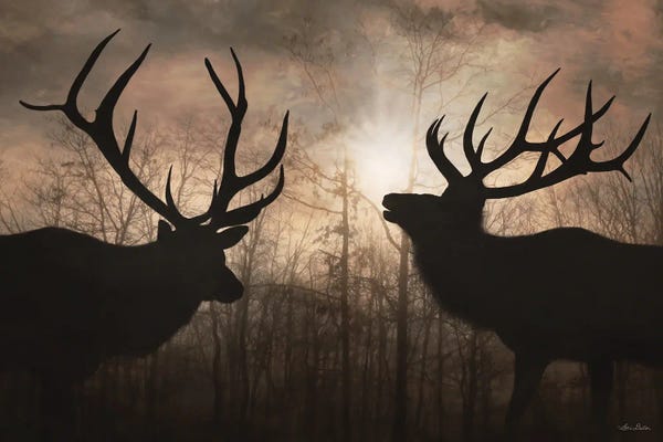 Lori Deiter: Elk Sunrise III by Lori Deiter