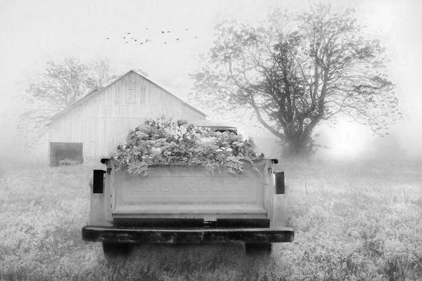 Trucks: Foggy Morning Sunrise by Lori Deiter