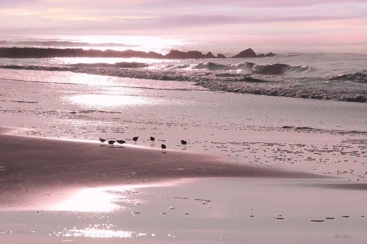 Breakfast On The Beach