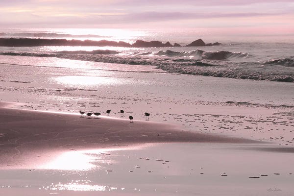 Lori Deiter: Breakfast On The Beach by Lori Deiter