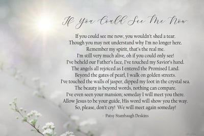 If You Could See Me Now - Floral by Lori Deiter framed canvas print