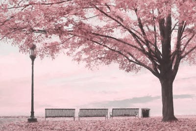 Moody Pink Day In The Park by Lori Deiter art print