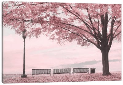 Moody Pink Day In The Park Canvas Art Print - City Park Art