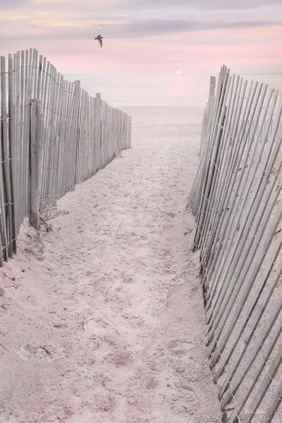 Large Coastal Art - Canvas Prints: Pink Beach Sunrise by Lori Deiter