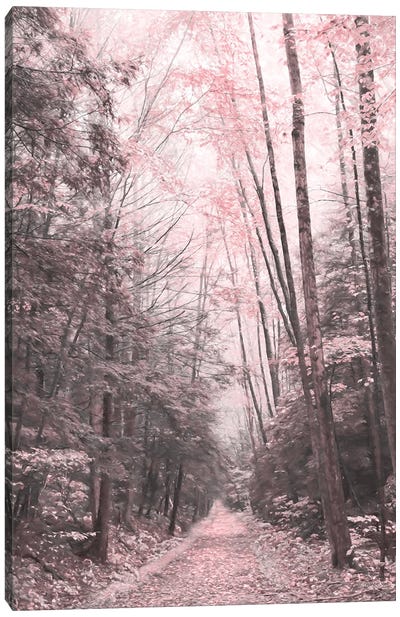 Pink Forest Canvas Art Print - Lori Deiter
