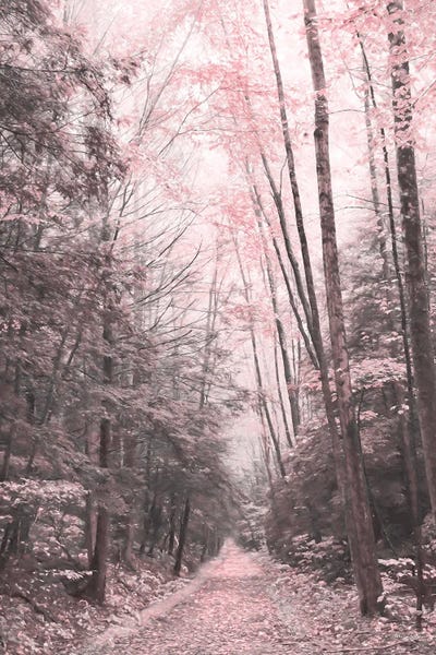 Lori Deiter: Pink Forest by Lori Deiter