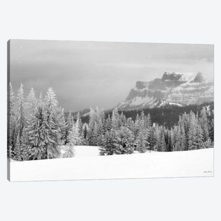Snowy Lava Mountain Canvas Print #LOD463} by Lori Deiter Canvas Wall Art