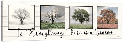 To Everything There Is A Season Canvas Art Print