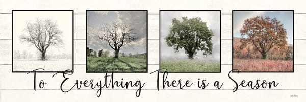 Large Photography - Canvas Prints: To Everything There Is A Season by Lori Deiter