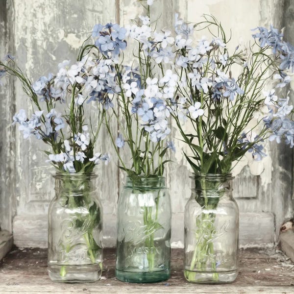 Wildflowers: Blue Roadside Beauties by Lori Deiter
