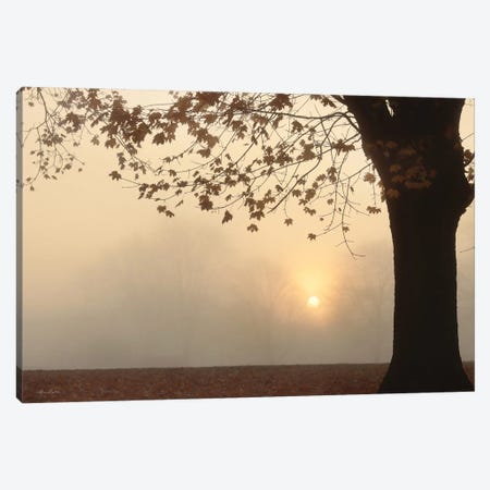 Foggy Morning Sunrise Canvas Print #LOD483} by Lori Deiter Canvas Art