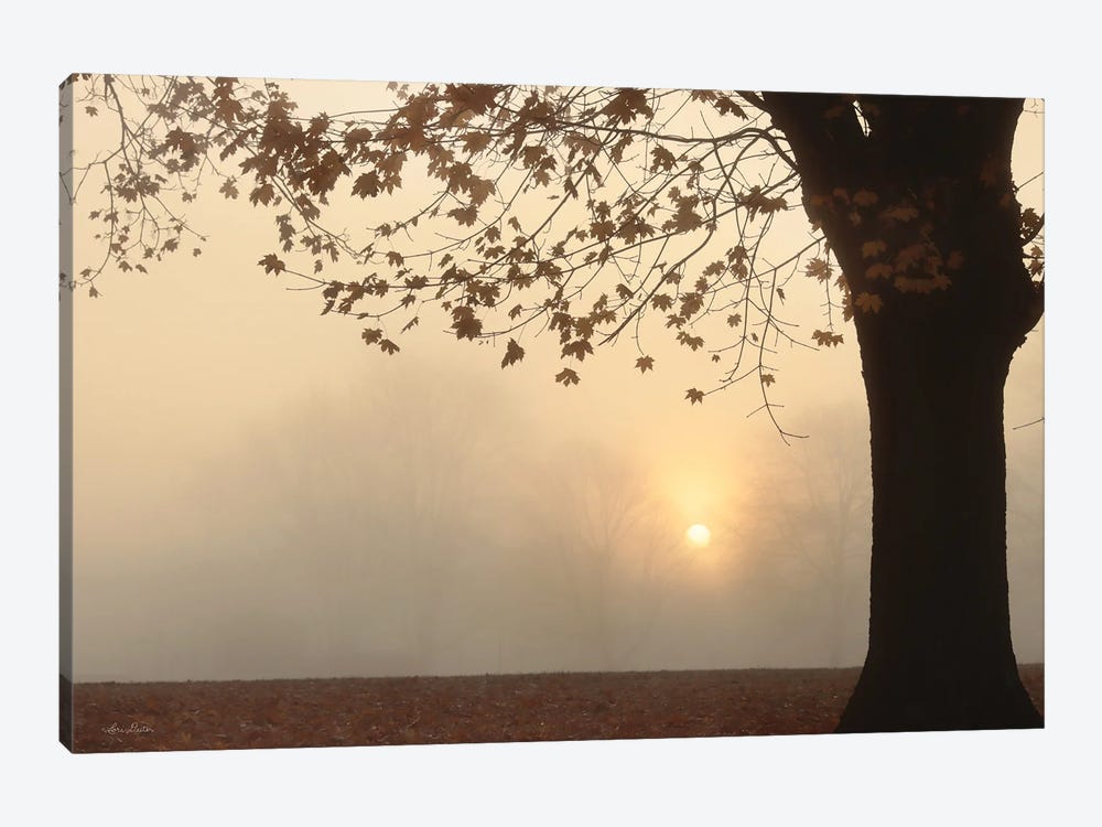 Foggy Morning Sunrise by Lori Deiter 1-piece Canvas Art