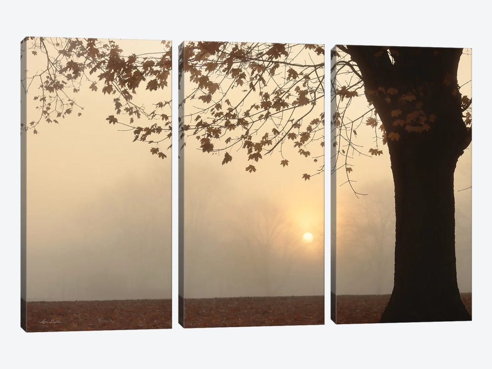 Foggy Morning Sunrise by Lori Deiter 3-piece Canvas Art