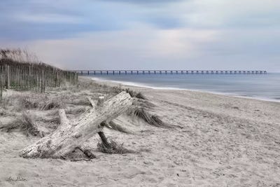 Outer Banks Beach  by Lori Deiter art print