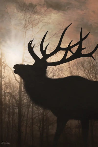 Elk: Elk Sunrise II by Lori Deiter