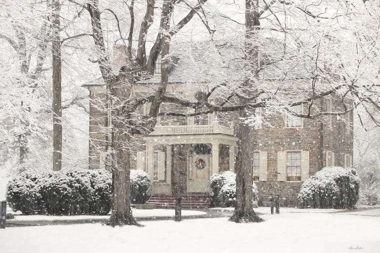 Winter Home At Christmas by Lori Deiter wall art
