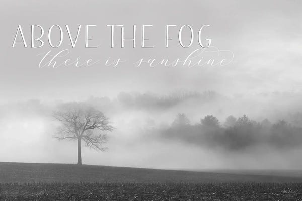 Mist & Fog: Above The Fog by Lori Deiter