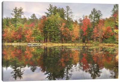Adirondacks Foliage Canvas Art Print - Lori Deiter