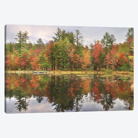Adirondacks Foliage Canvas Print #LOD554} by Lori Deiter Canvas Art Print