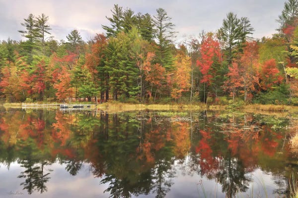Lori Deiter: Adirondacks Foliage by Lori Deiter