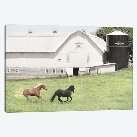 Afternoon Run On The Farm Canvas Print #LOD555} by Lori Deiter Canvas Art Print