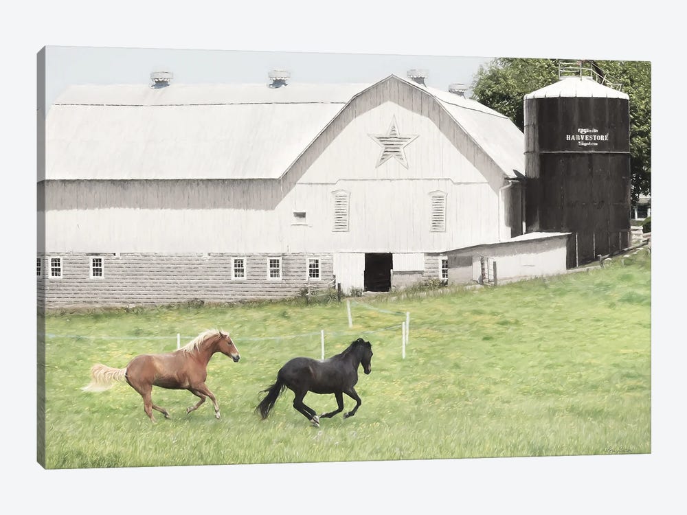 Afternoon Run On The Farm by Lori Deiter 1-piece Canvas Wall Art