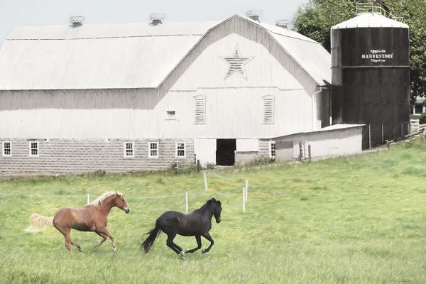 Lori Deiter: Afternoon Run On The Farm by Lori Deiter