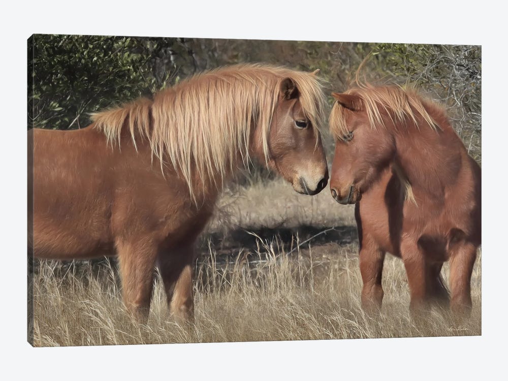 Assateague Horses III by Lori Deiter 1-piece Canvas Print