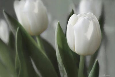 Be Unique by Lori Deiter canvas print