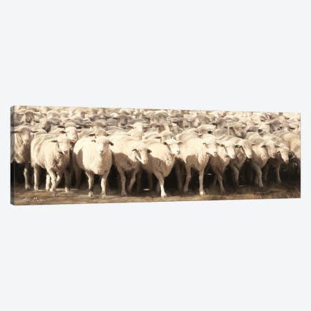 Sheep Herding Canvas Print #LOD55} by Lori Deiter Canvas Artwork