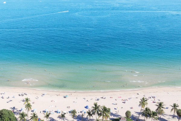 Lori Deiter: Beach View From Above by Lori Deiter