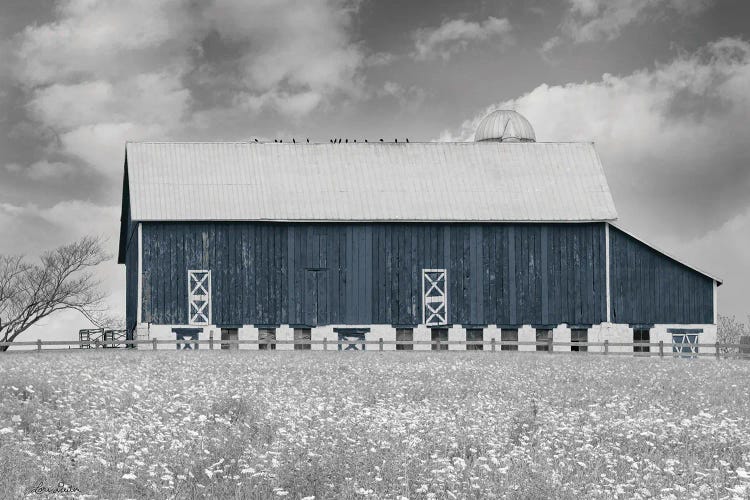 Black & White Barn