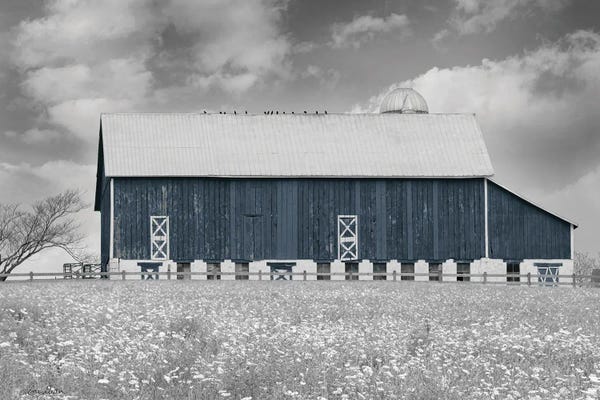 Lori Deiter: Black & White Barn by Lori Deiter