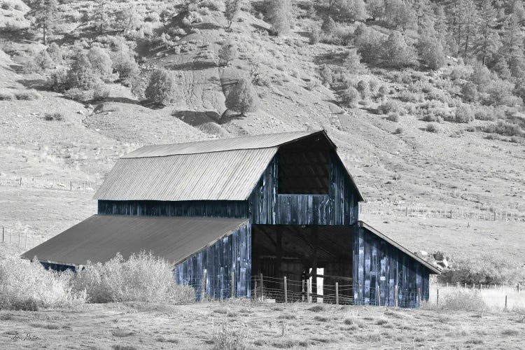 Blue Barn II