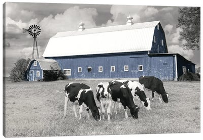 Blue Barn With Cows Canvas Art Print - Barns