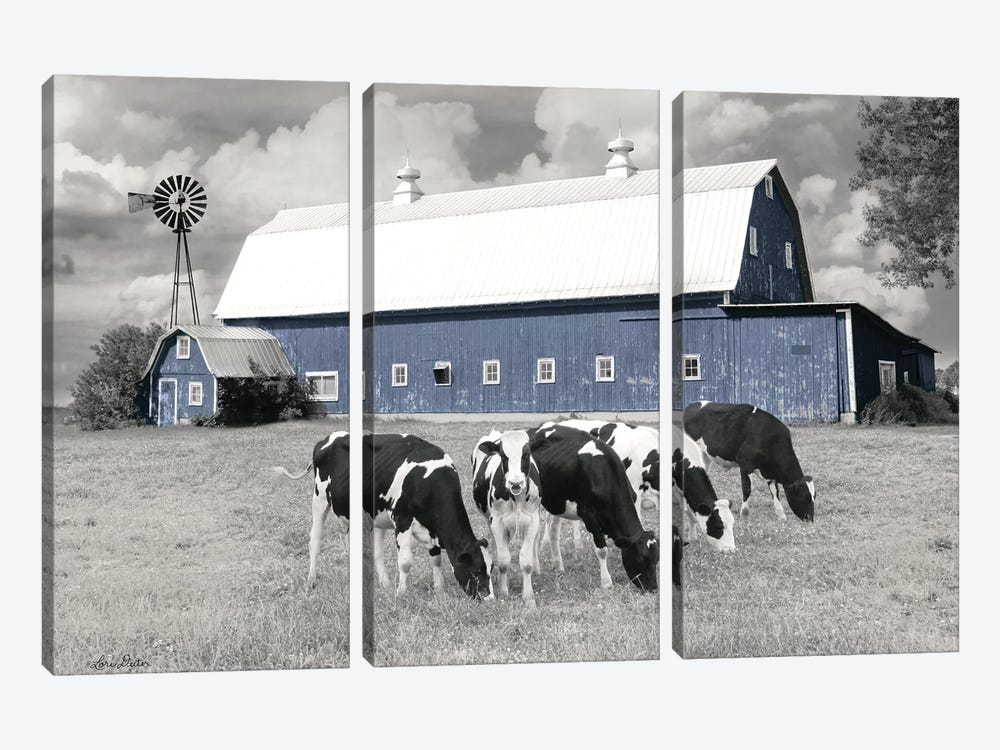 Blue Barn With Cows by Lori Deiter 3-piece Canvas Print