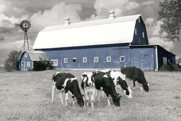 Farms: Blue Barn With Cows by Lori Deiter