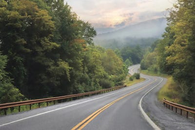 Curve Ahead by Lori Deiter canvas print