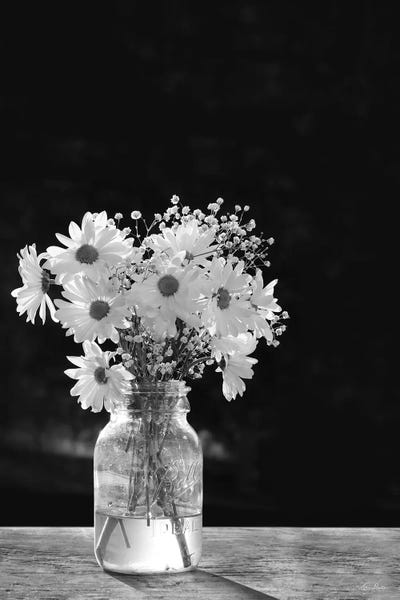 Lori Deiter: Dainty Daisies by Lori Deiter