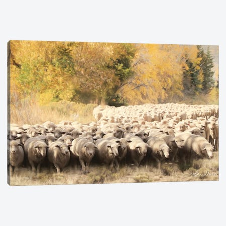 Sheep Ranch Canvas Print #LOD56} by Lori Deiter Canvas Art